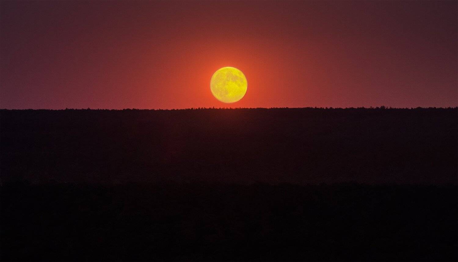 , Виталий Стрельцов