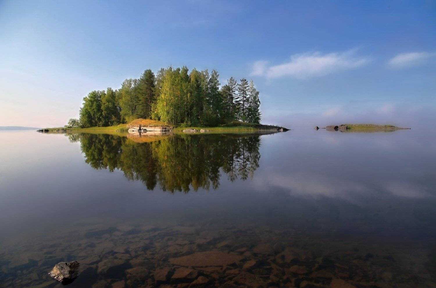 , Дмитрий Петухов
