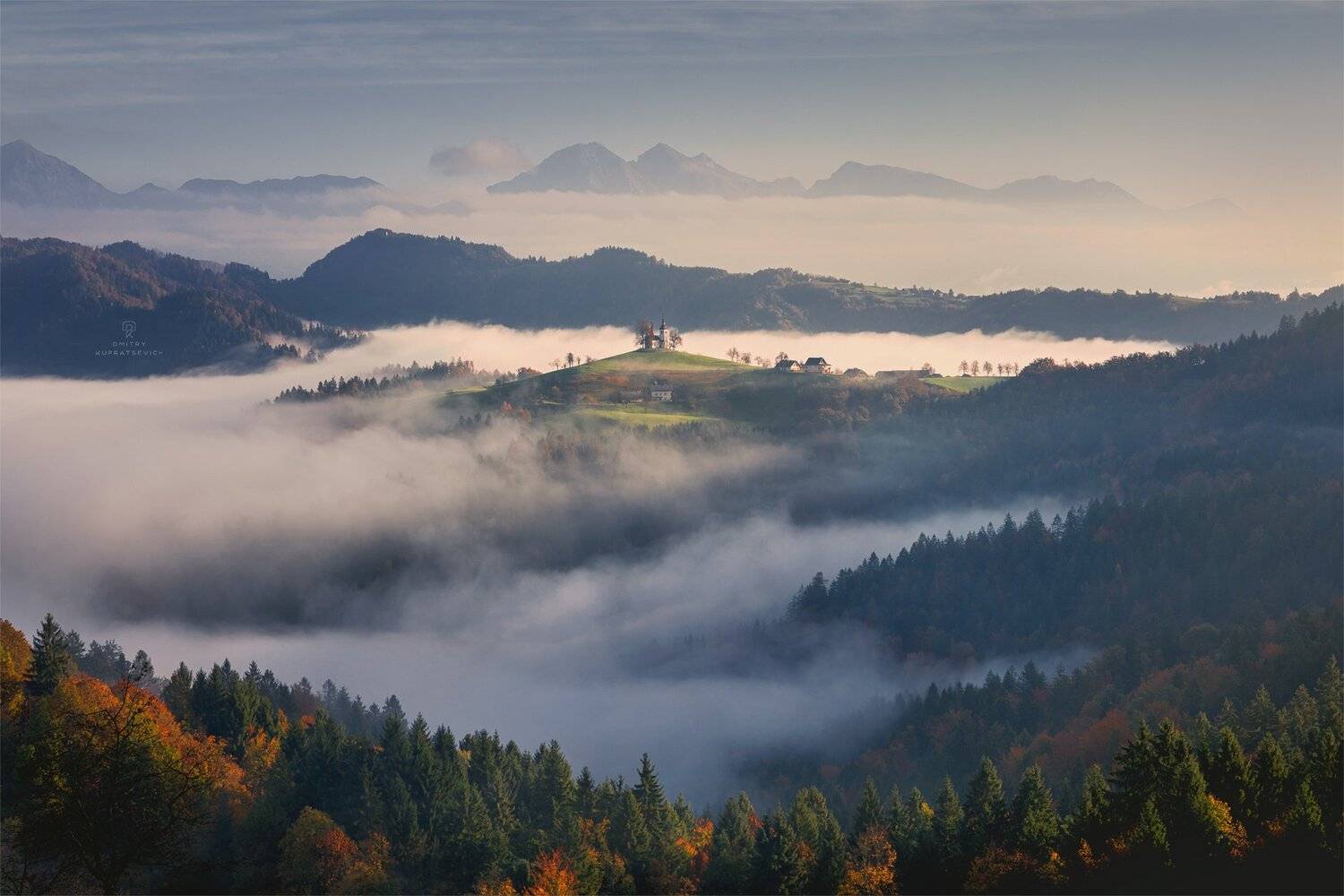 , Дмитрий Купрацевич