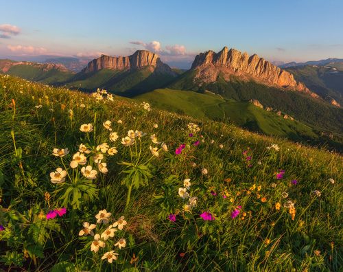 Владения золотого дракона