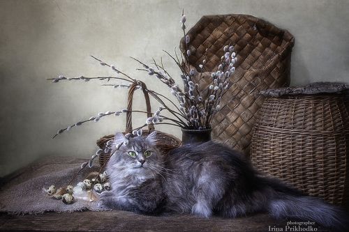 Масянечкина весна
