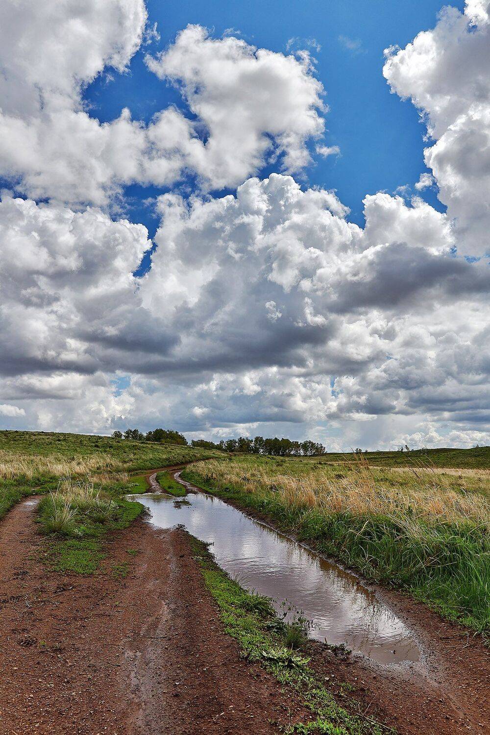 южный, урал, губерля орск, новотроицк, Качурин Алексей