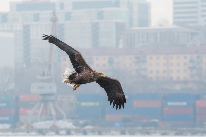 Полет фото превью