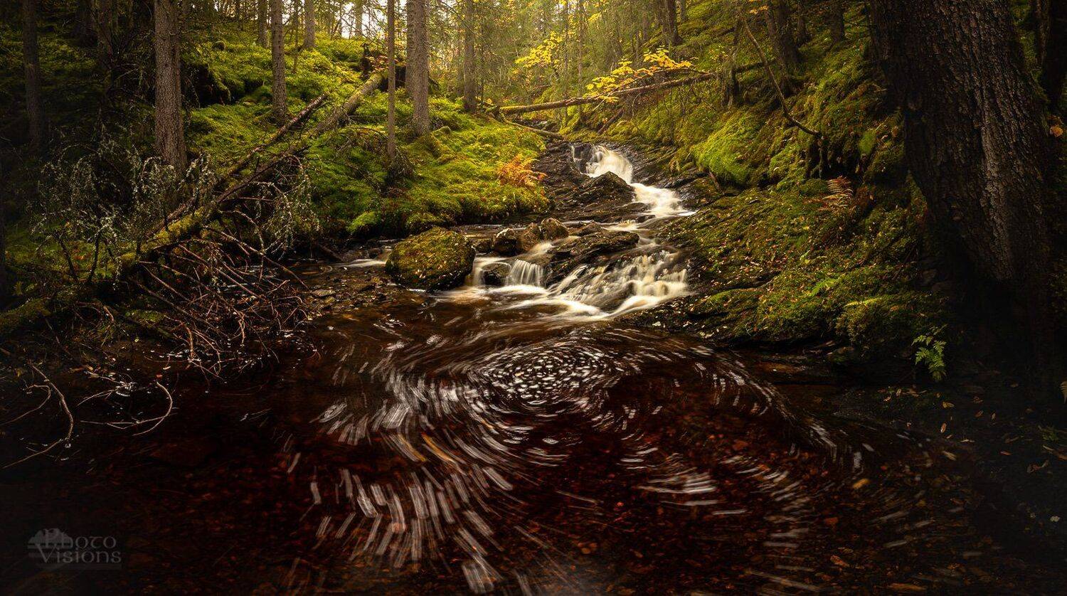 forest,green,river,stream,water,tree,trees,boreal,norway,norwegian,woods,woodland,, Adrian Szatewicz