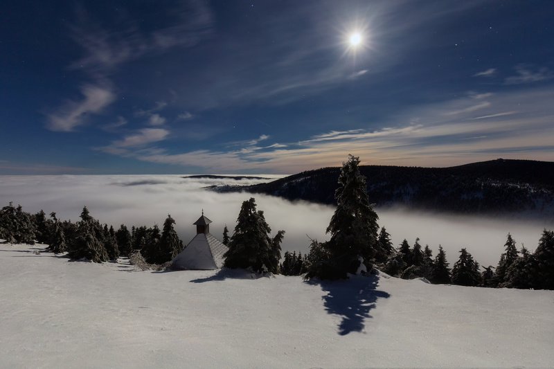 landscape, tree, night, panorama, fog, moon Heather Well by the Moon фото превью