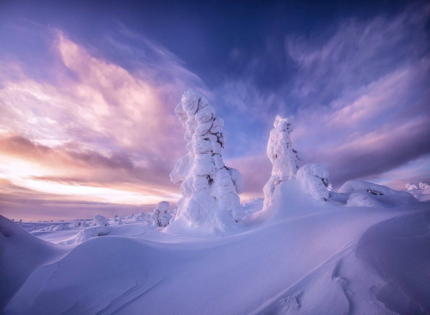 , Елена Ермолина