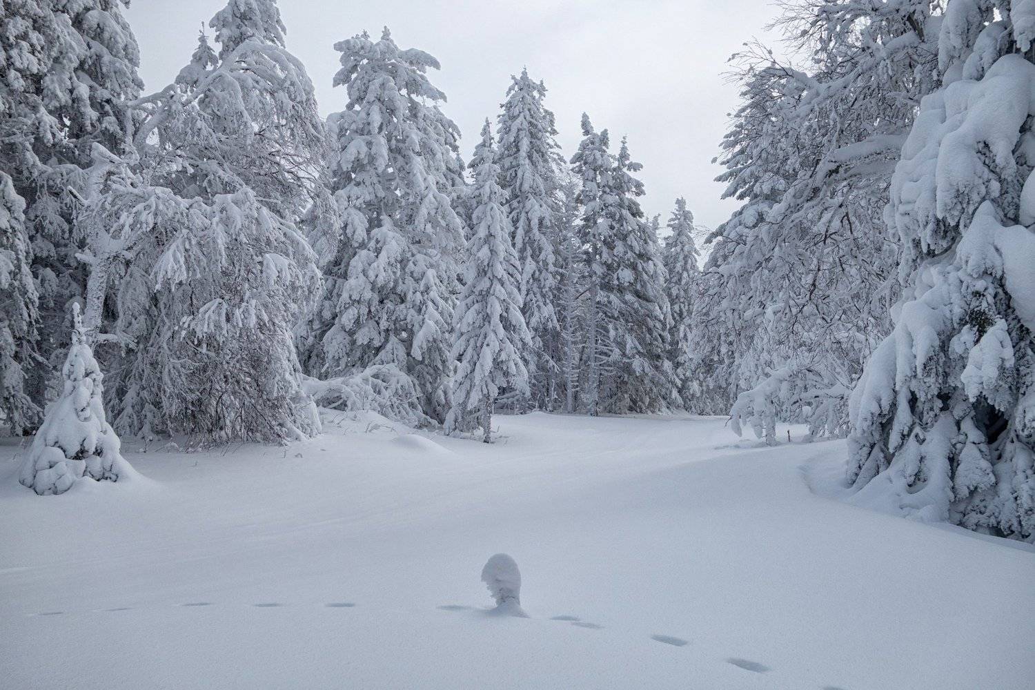 , Сергей Сотников