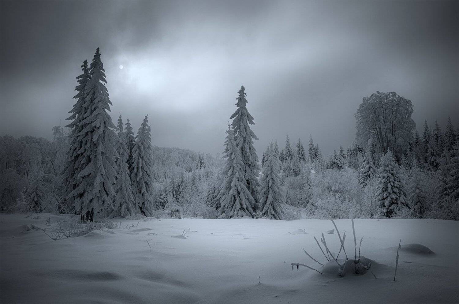 landscape nature scenery winter sunset snow clouds mountain trees пейзаж зима горы, Александър Александров