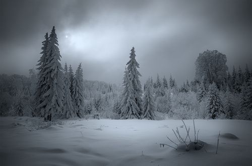 Еarly twilight / Ранние сумерки