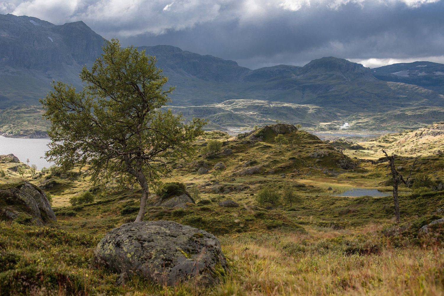 , Рустам Афлятунов