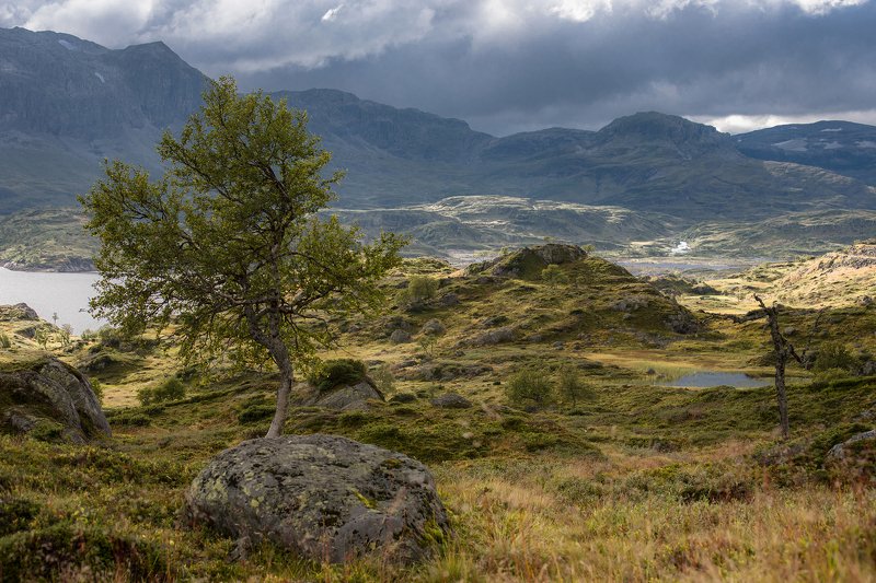 Земля троллей фото превью