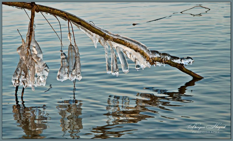 зима, оттепель, сосульки, отражения В ледяном кляре фото превью