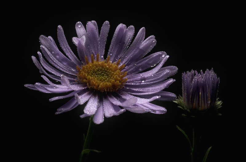 Сосотояние фото превью