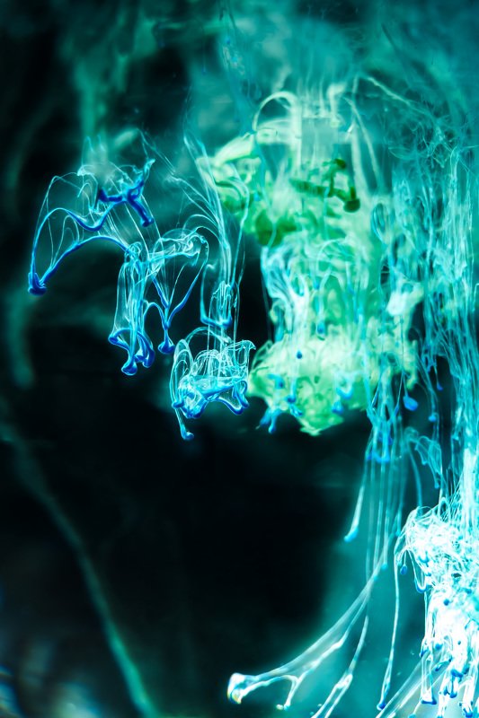 вода, краски, акрил Медузы фото превью