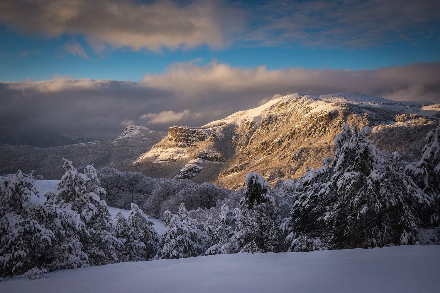 крым, Юрий Коваленко