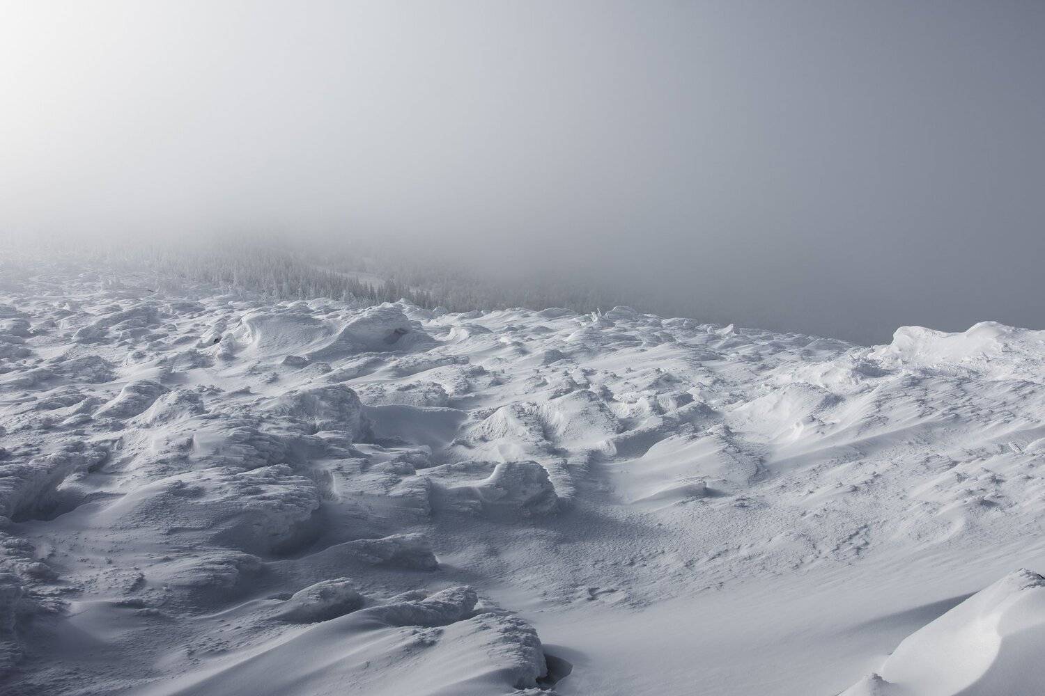, Андрей Шарапов