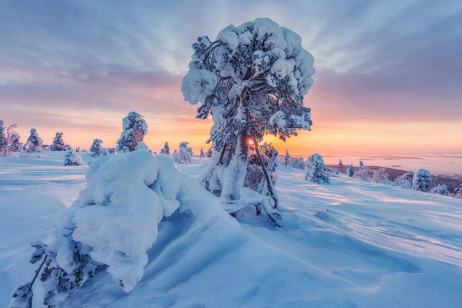 заполярье, гора, снег, ели, волосная, Владимир Липецких