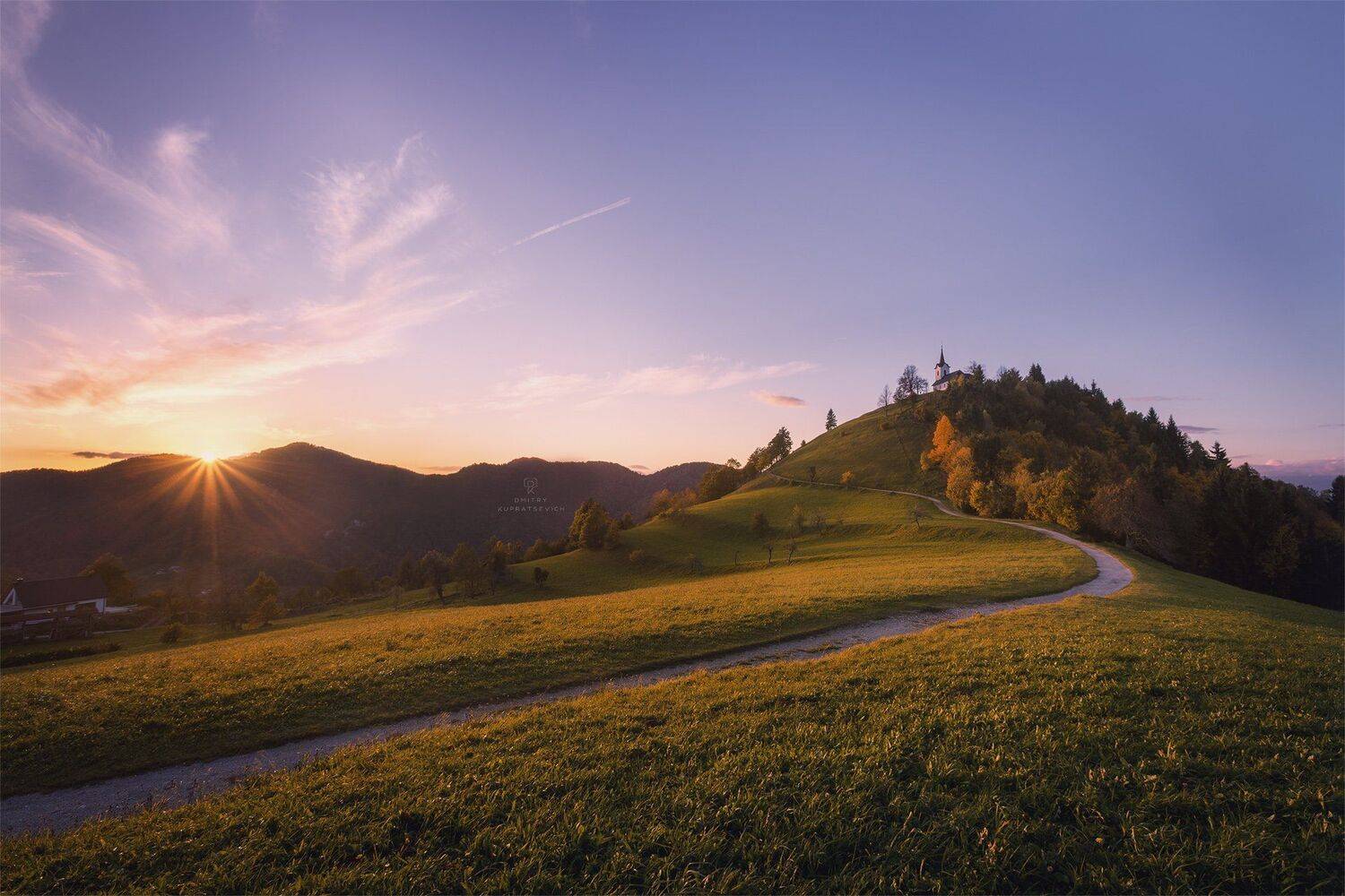 , Дмитрий Купрацевич