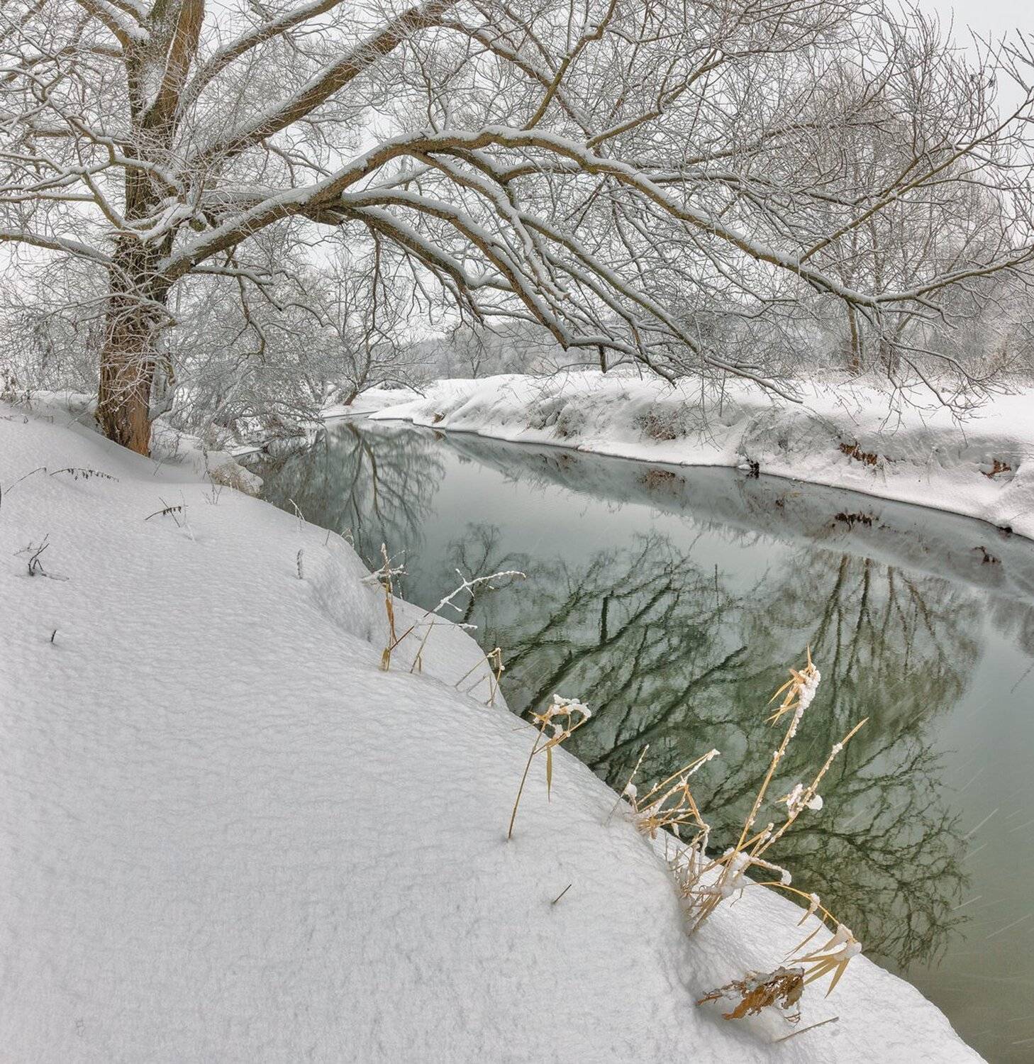 , Николай Андреев