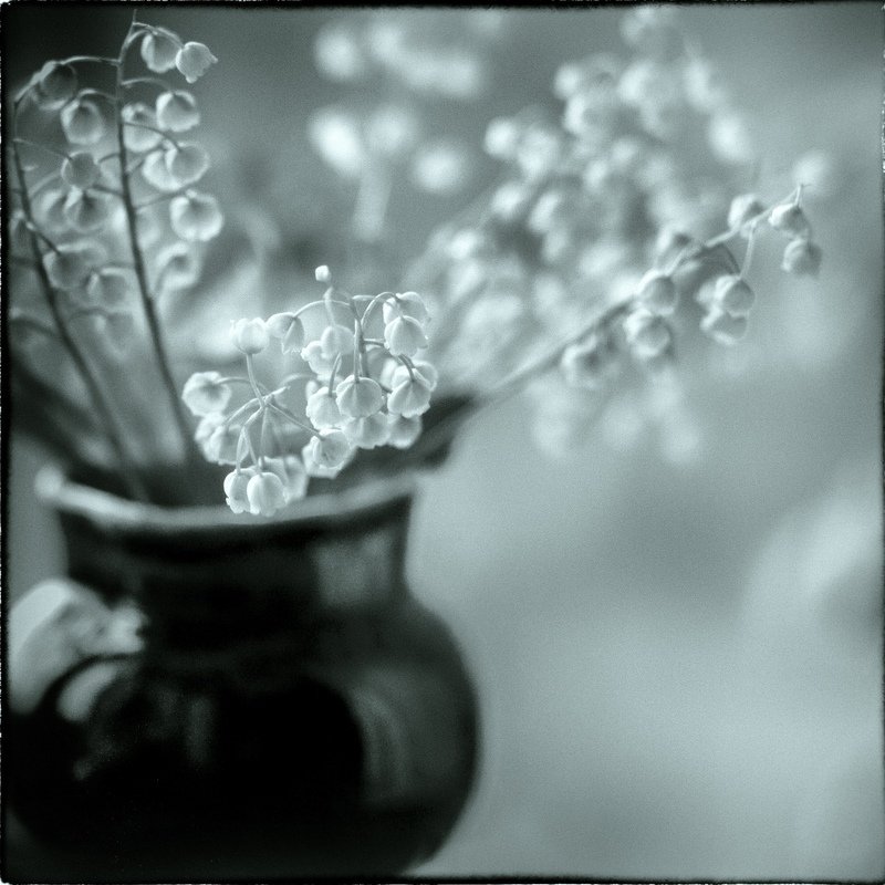 ... фото превью