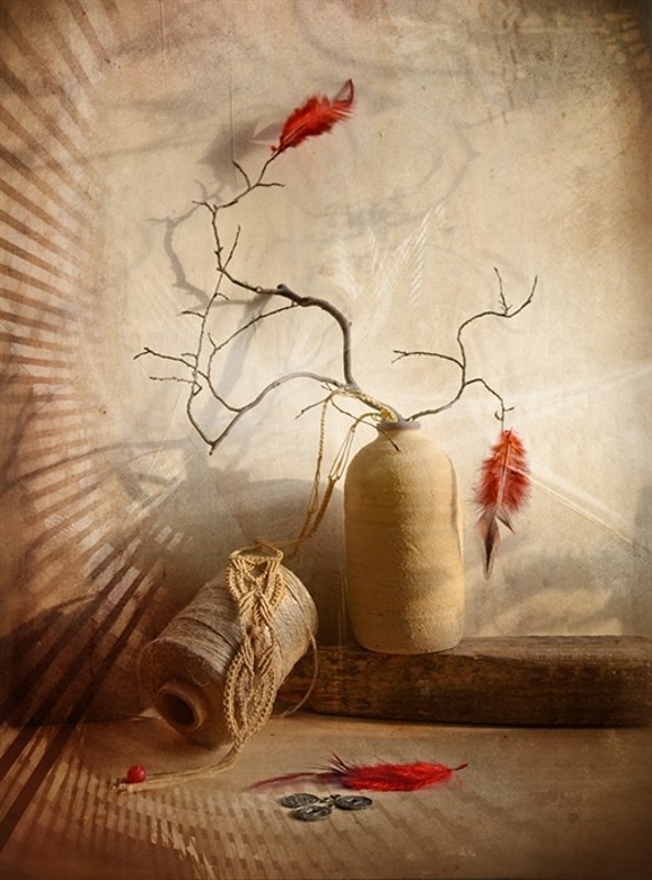 Натюрморт ветви перья история любовь свет Перо Жар-Птицы фото превью