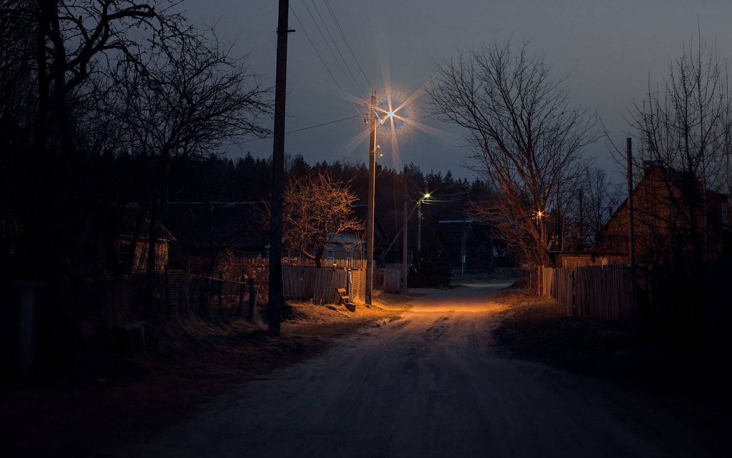 , Полина Хрол