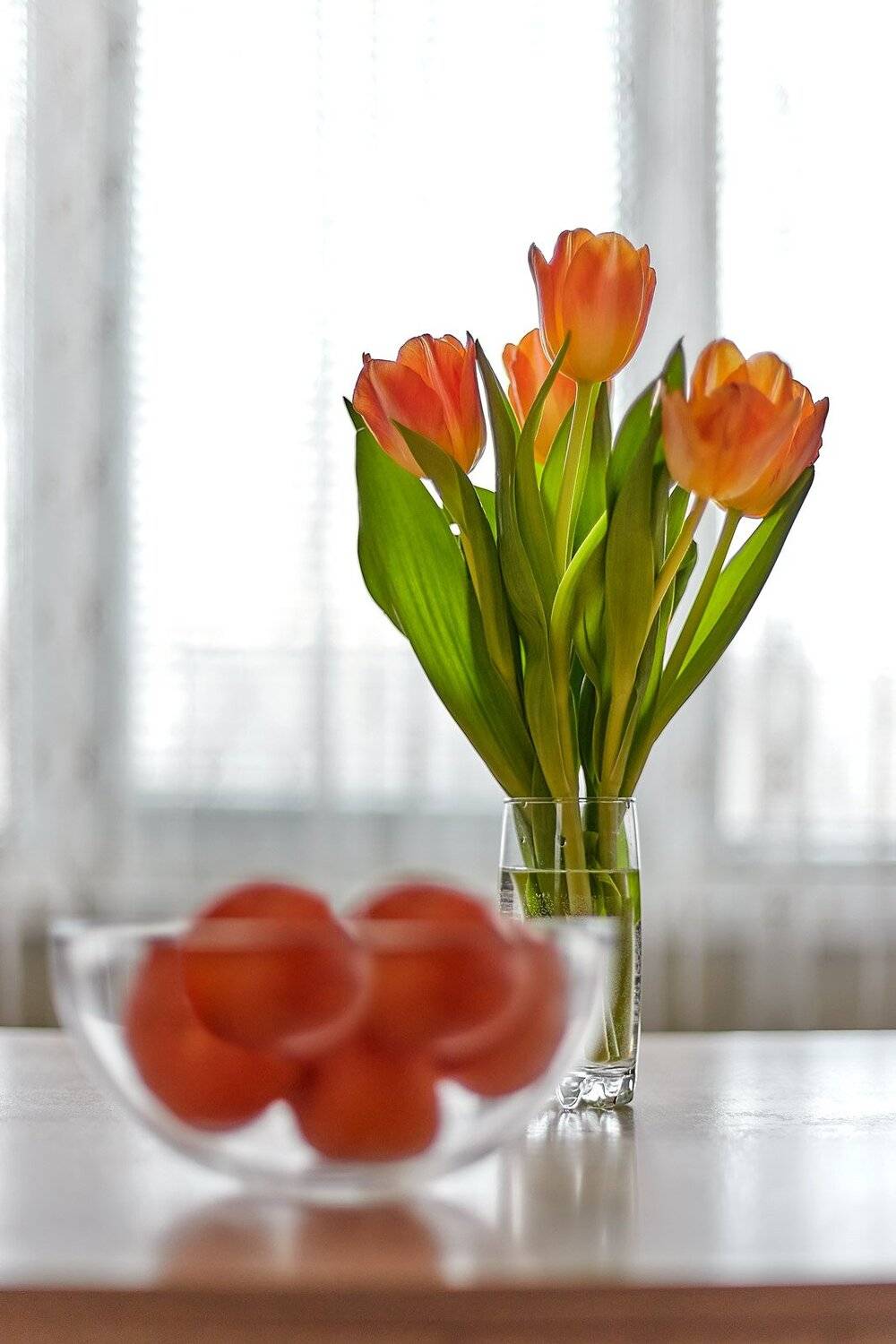 южный, урал, губерля орск, новотроицк, Качурин Алексей