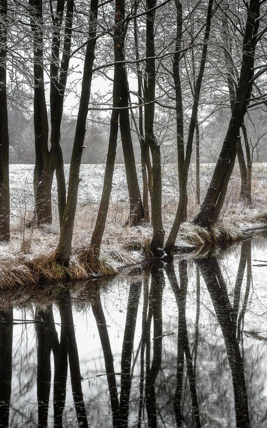 city ,citylife ,citylights ,citynight ,cityscape ,cityscapes ,forest ,light ,lightning ,lights ,nature ,naturelandscape,naturephotography ,winter ,winterlandscape ,foggylandscape ,winter nights,беларусь, вязынка, снег, зима,пейзаж,деревья, отражение,refle, Полина Хрол