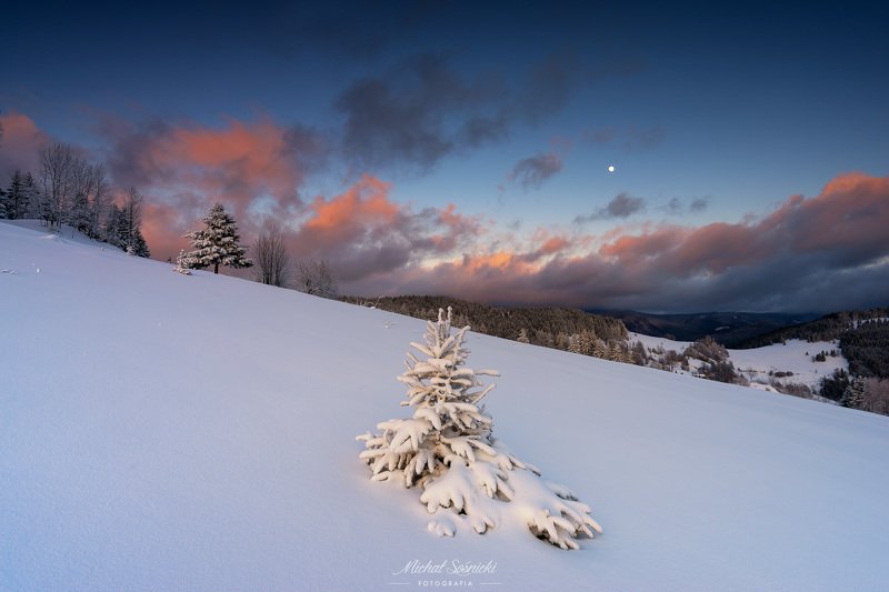 Winter... фото превью