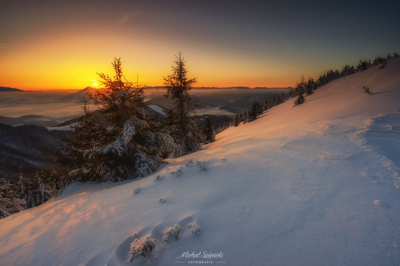 Stoh. фото превью
