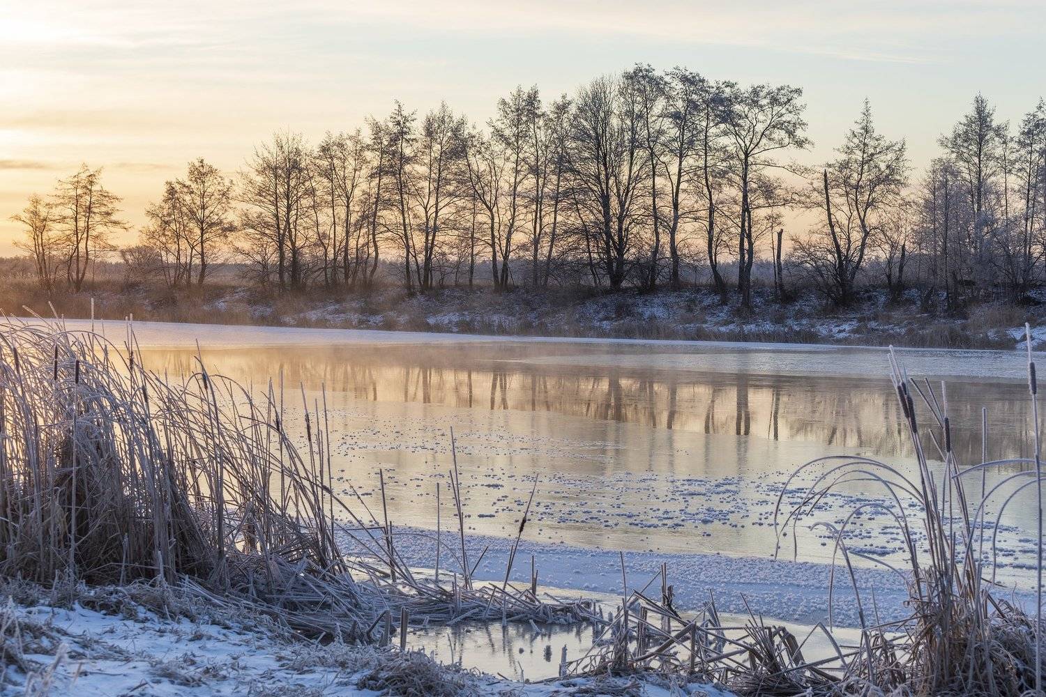 , Дмитрий Новоселов
