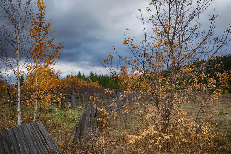 Печальная пора... фото превью