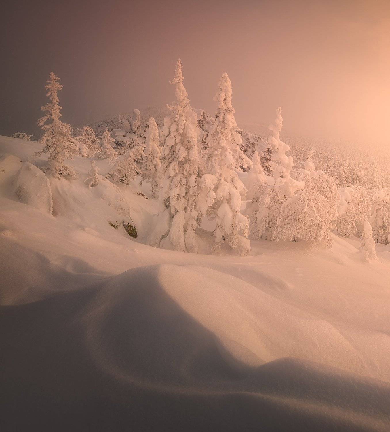 , Бахышев Сафар