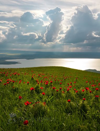 Край облаков