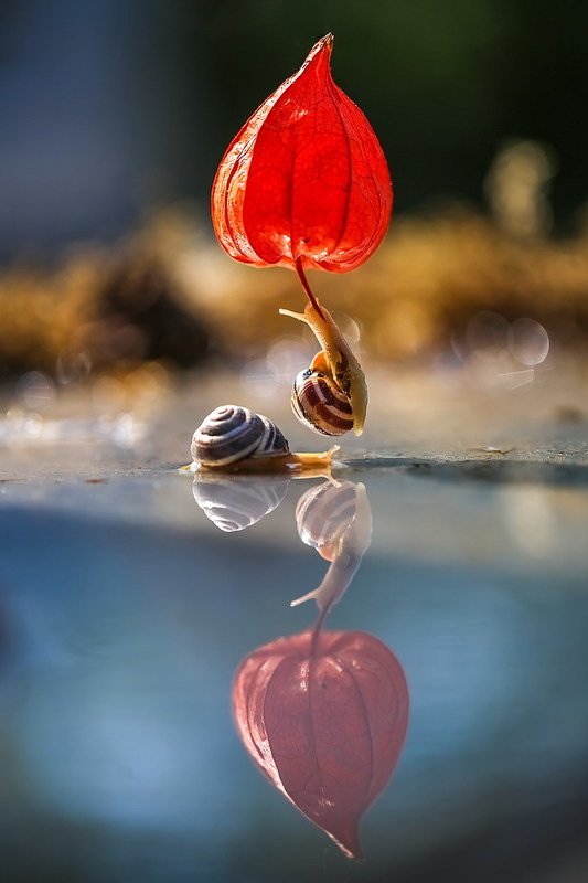 За 80 дней вокруг света. фото превью