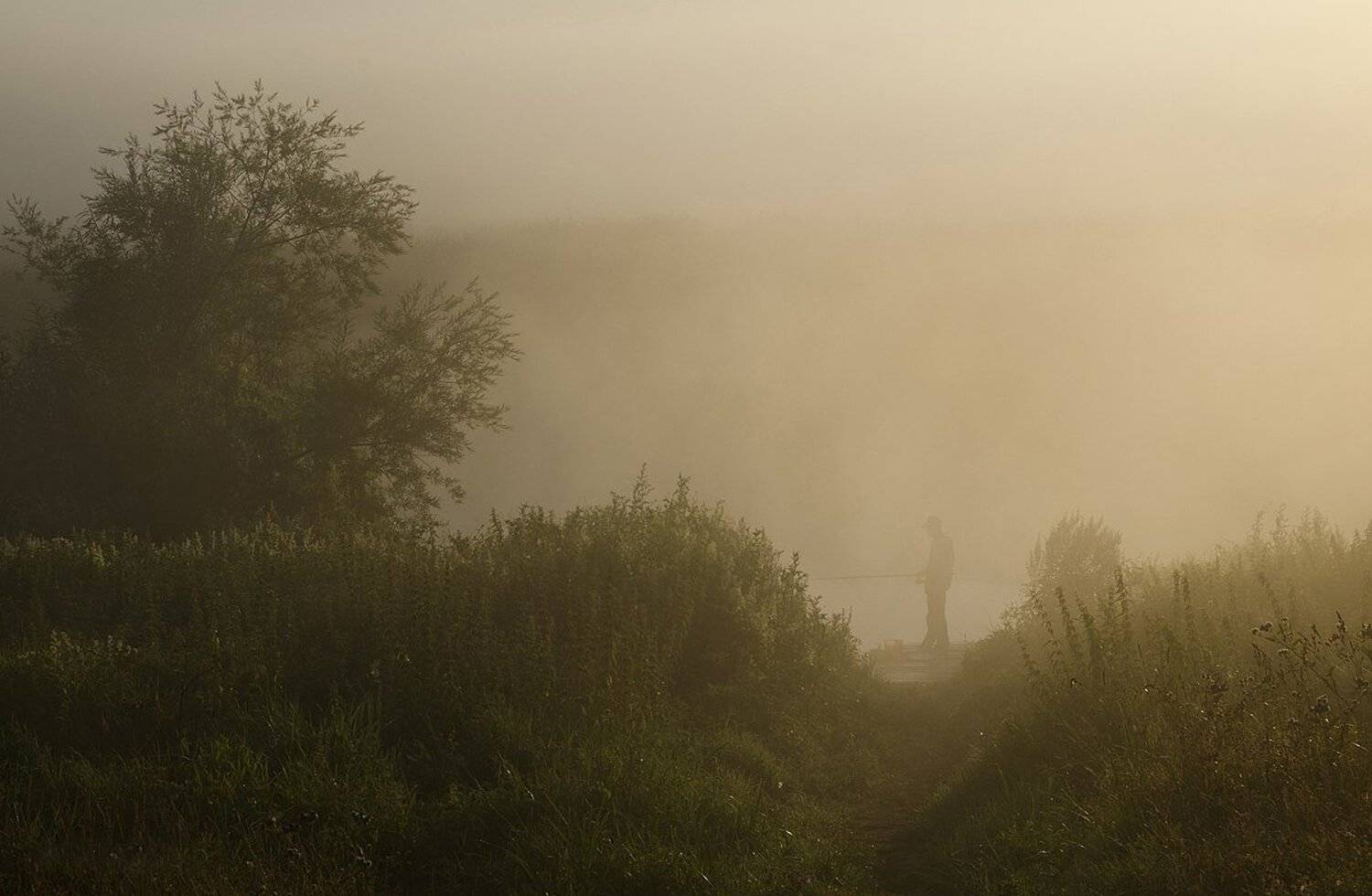туман, рыбак, першино, Михаил Агеев