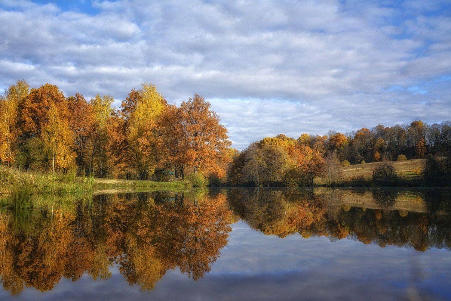 , Анатолий Зверев