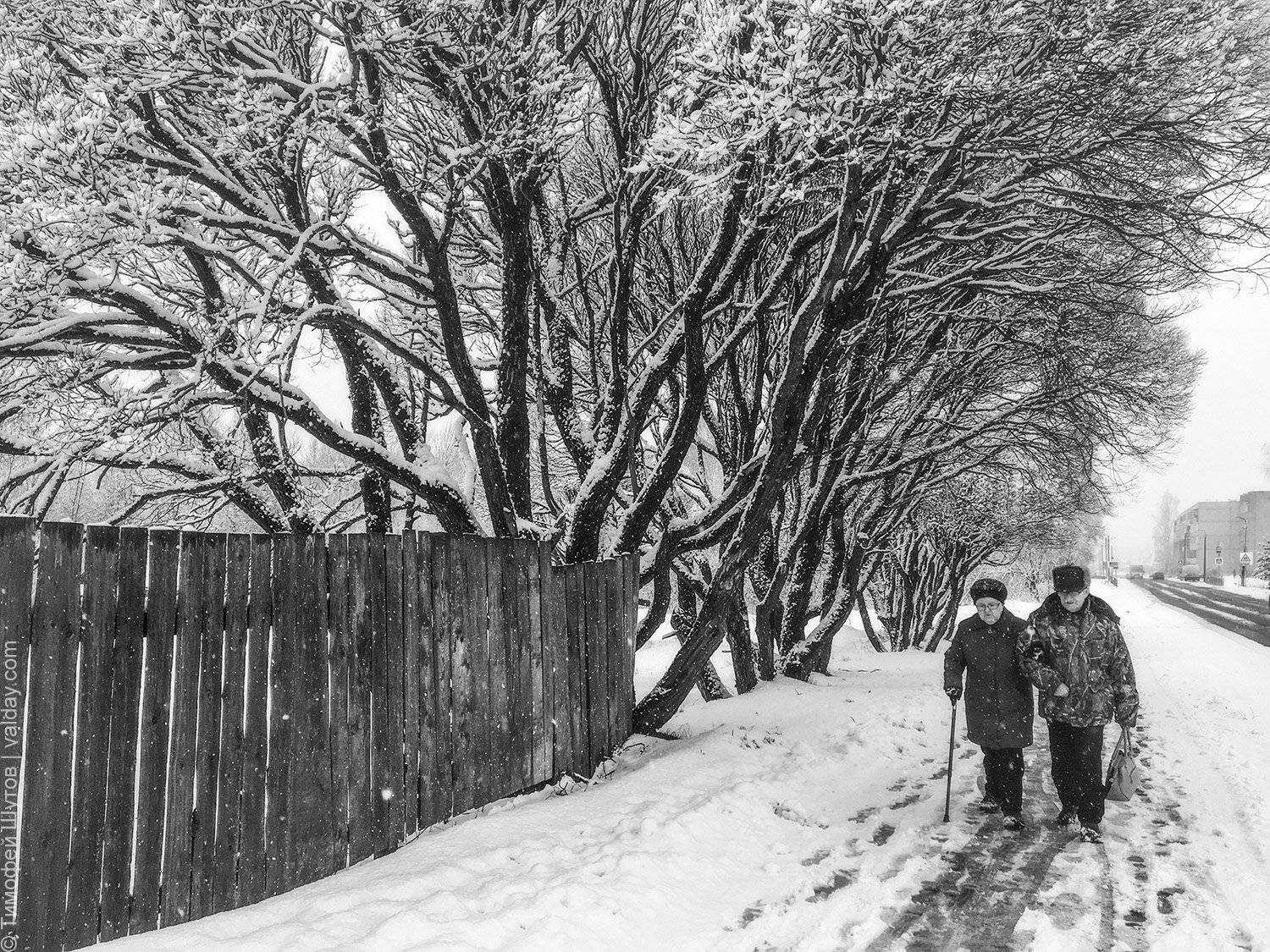 , Тимофей Шутов