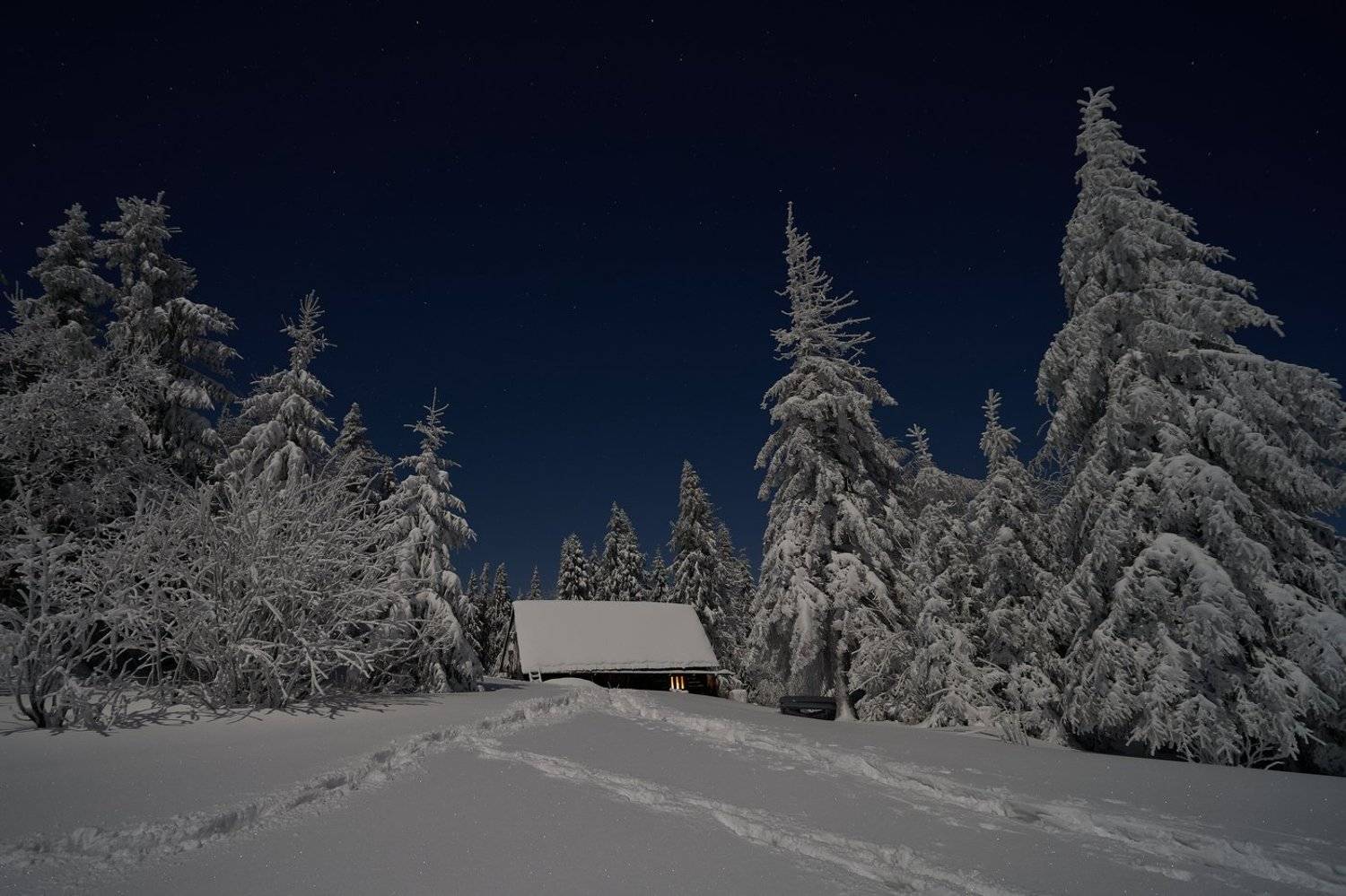 mist,mountains,hut,sunrise,tree,cold,frozen,snow,  Rafal