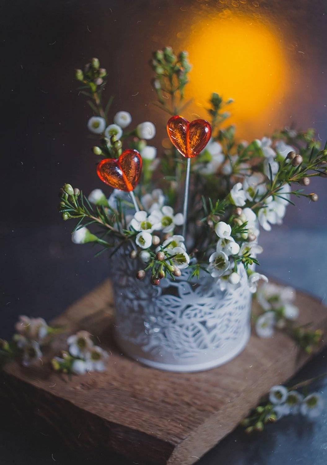боке, закат, цветы, сердце, красный, брызги, натюрморт, гелиос, still life, Алла Семенова