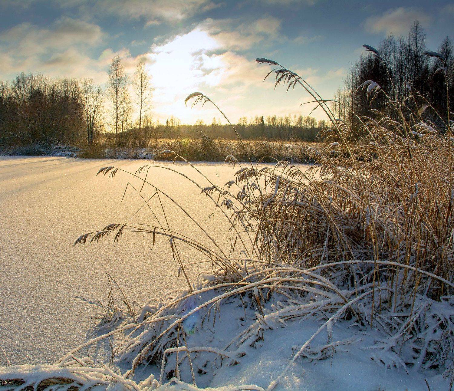 , Михаил Белоусов