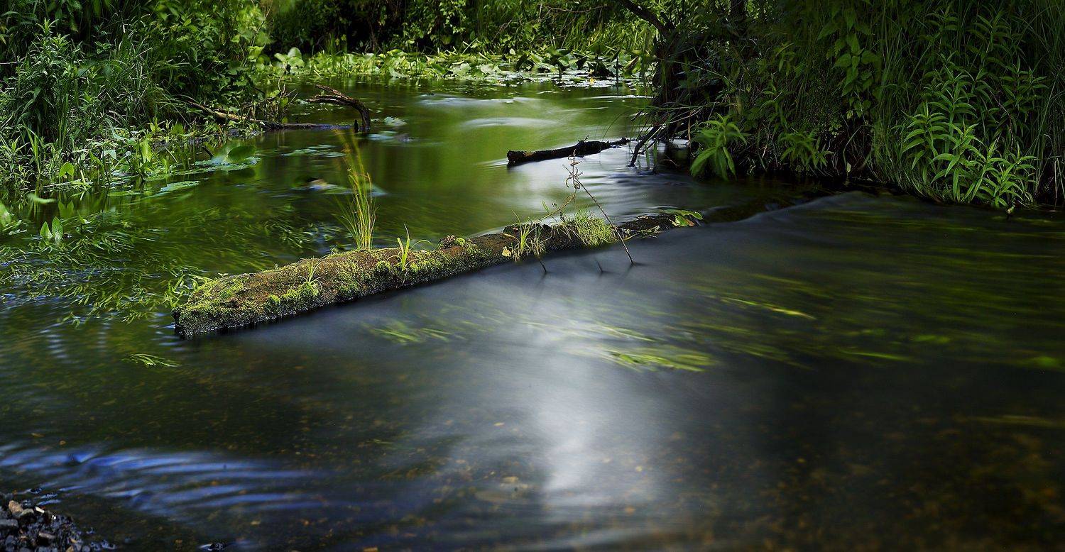 , Бусыгин Борис