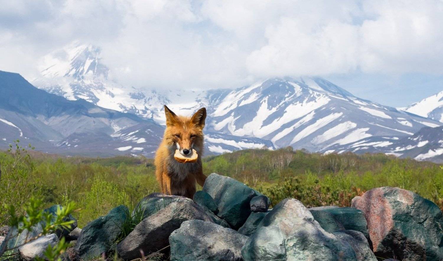 камчатка kamchatka, Сергей Середин