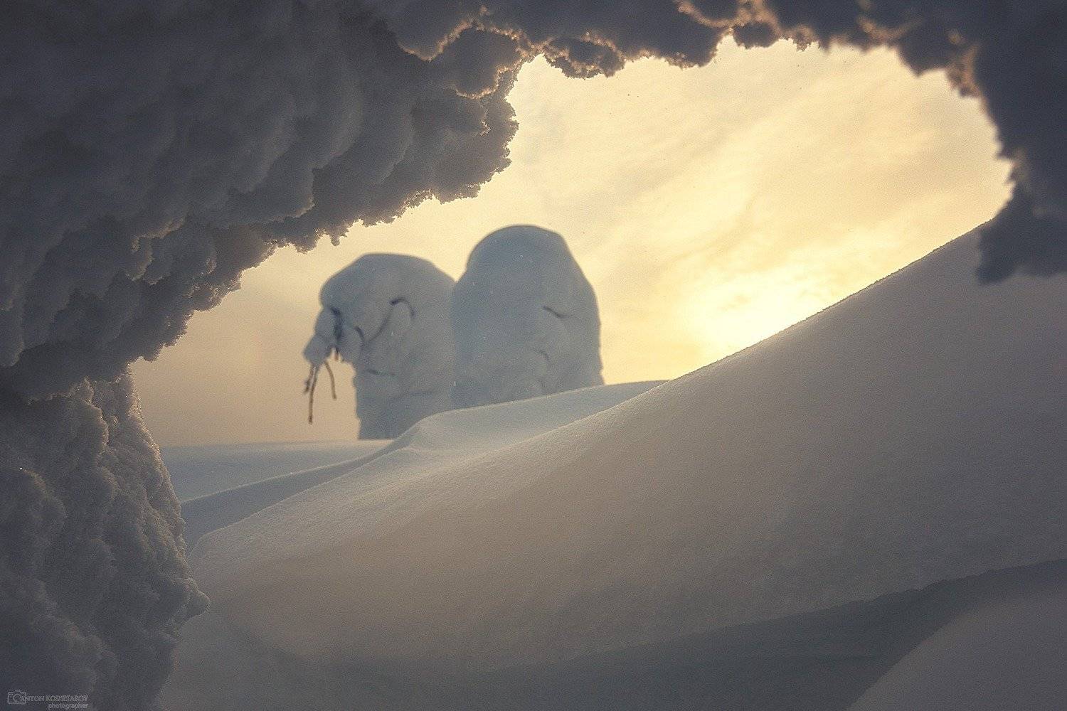 , Антон Кошетаров