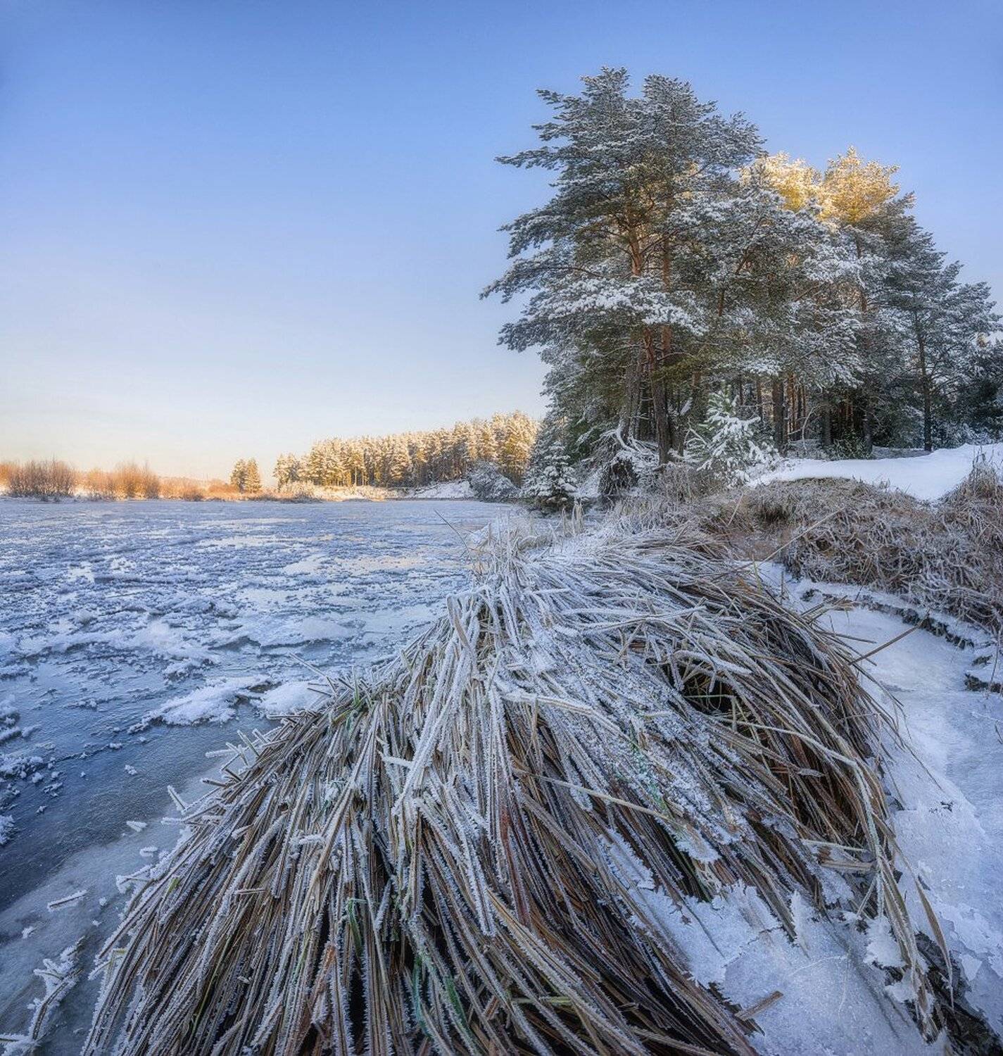 , Устюжанин Михаил