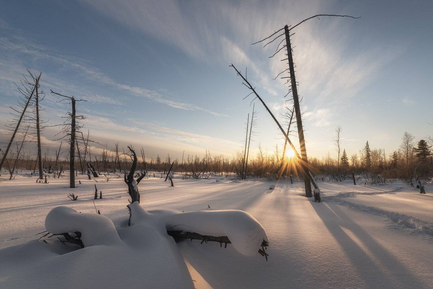 ноябрьск, янао, ямал, зима, снег, деревья, небо, облака, природа, пейзаж, солнце, seal, altushkin.name, Сергей Алтушкин