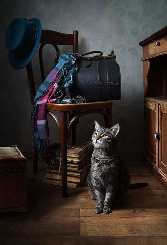 Возвращение.