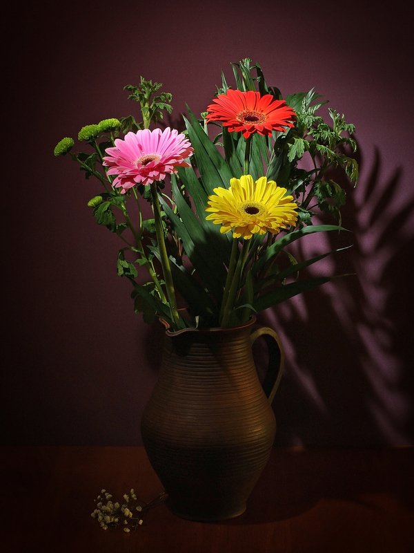 Герберы фото превью