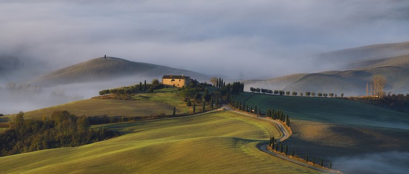 Terrapille фото превью