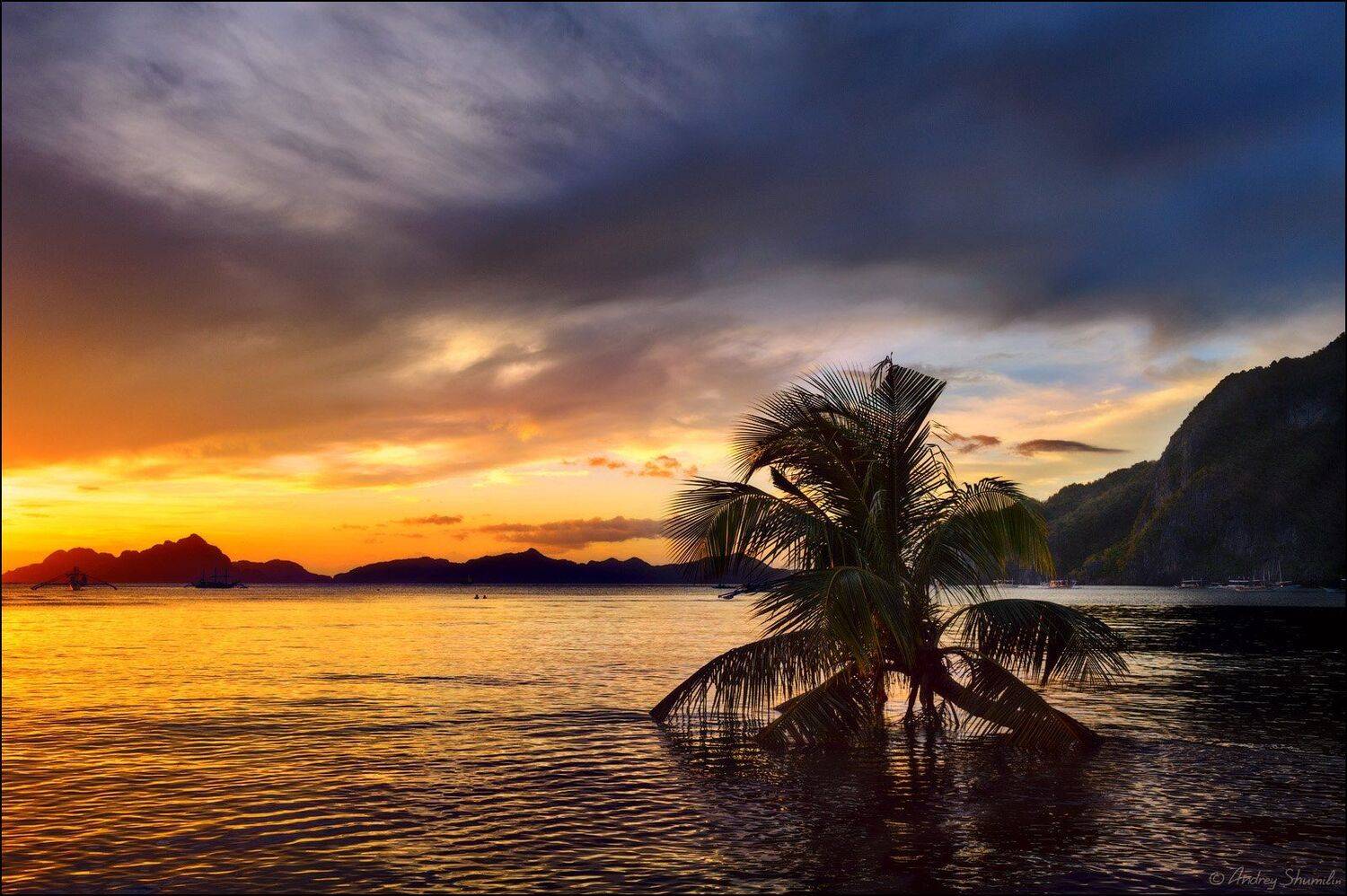 , Андрей Шумилин